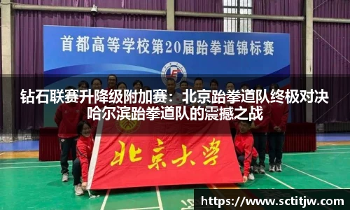 钻石联赛升降级附加赛：北京跆拳道队终极对决哈尔滨跆拳道队的震撼之战